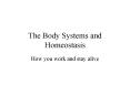 The Body Systems and Homeostasis How you work and stay aliv