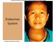 Endocrine System Anatomy of the Endocrine System Whic