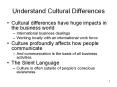 Cultural differences have huge impacts in the business worl