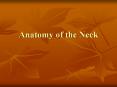 Anatomy of the Neck Anterior triangle Midline of the nec