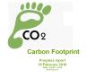 Carbon Footprint Progress report 18 February 2010 IREN