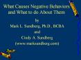 What Causes Negative Behaviors and What to do About Them b
