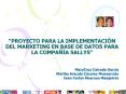  PROYECTO PARA LA IMPLEMENTACI N DEL MARKETING EN BASE D