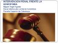 INTERVENCI N PENAL FRENTE LA HOMOFOBIA Miguel  ngel Aguila