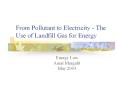 From Pollutant to Electricity - The Use of Landfill Gas fo