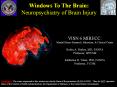 Windows To The Brain: Neuropsychiatry of Brain Injury VISN 