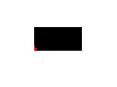 Merosin Deficient Congenital Muscular Dystrophy Cause an