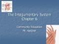 The Integumentary System Chapter 6 Community Education Mr