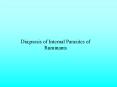 Diagnosis of Internal Parasites of Ruminants Oesophagostomu