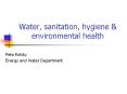 Water, sanitation, hygiene & environmental health Pet