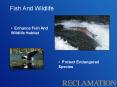 Fish And Wildlife Enhance Fish And Wildlife Habitat Protec