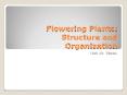Flowering Plants: Structure and Organization Unit 10: Plant