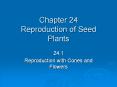 Chapter 24 Reproduction of Seed Plants 24.1 Reproductio