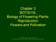 Chapter 3 BOT3015L Biology of Flowering Plants: Reproductio