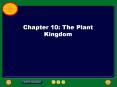 Chapter 10: The Plant Kingdom Products of Seed Plants See