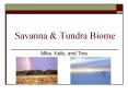 Savanna & Tundra Biome Mike, Kelly, and Tina Savanna Biom