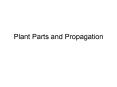 Plant Parts and Propagation Part A: Dicotelydons Root