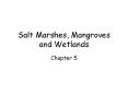 Salt Marshes, Mangroves and Wetlands Chapter 5 Salt marshe