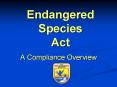 Endangered Species Act A Compliance Overview Endangere