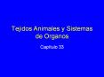 Tejidos Animales y Sistemas de Organos Cap tulo 3