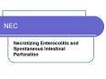 NEC Necrotizing Enterocolitis and Spontaneous Intestina