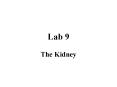 Lab 9 The Kidney Lab 9: The Kidney Dialysis experimen