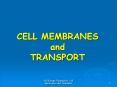 CELL MEMBRANES and TRANSPORT The Cell Cell membrane Al