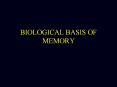 BIOLOGICAL BASIS OF MEMORY Biological Basis of Memory Memor