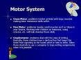 Motor System Gross Motor: problems involve activity wit