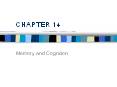 CHAPTER 14 Memory and Cognition Memory and Behavior Theor