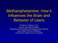 Methamphetamine: How it influences the brain and behavior o