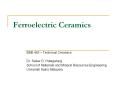 Ferroelectric Ceramics EBB 443   Technical Ceramics Dr