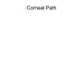 Corneal Path Lecture 08/25/08: Corneal Dystrophies Arcu