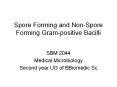Spore Forming and Non-Spore Forming Gram-positive Bacill