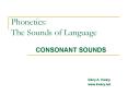 Phonetics: The Sounds of Language CONSONANT SOUNDS Deny A
