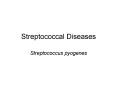 Streptococcal Diseases Streptococcus pyogenes Streptococcu