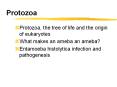 Protozoa Protozoa, the tree of life and the origin o