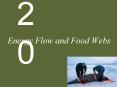 Energy Flow and Food Webs 20 Energy Flow and Food Webs Cas