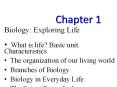 0 Chapter 1 Biology: Exploring Life What is life? Basi