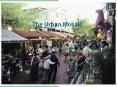 The Urban Mosaic The Human Mosaic Chapter 11 Culture Region
