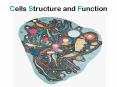 Cells Structure and Function Cells, the units of structur