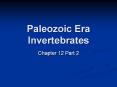 Paleozoic Era Invertebrates Chapter 12 Part 2 Cambria