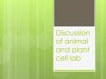 Discussion of animal and plant cell lab Onion Cell * Wha