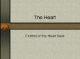 Control of the Heart Beat The Heart Beat The heart is mad