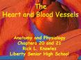 The Heart and Blood Vessels Anatomy and Physiology Chapter
