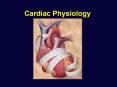 Cardiac Physiology Cardiac Physiology - Anatomy Revie