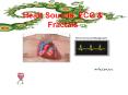 Heart Sounds, ECG & Fractals Heart Sounds, ECG & Fractal