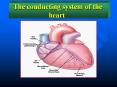 The conducting system of the heart The conducting system o