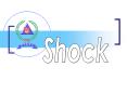 Describe shock List the causes of shock Describe the type
