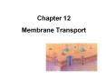 Chapter 12 Membrane Transport Definitions Solution   mixtur